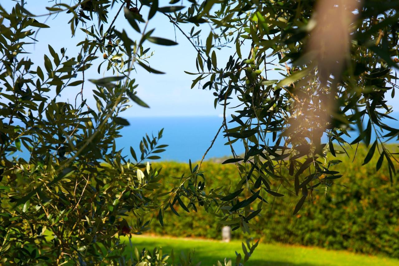 Casale Del Mare Βίλα Castiglioncello Εξωτερικό φωτογραφία