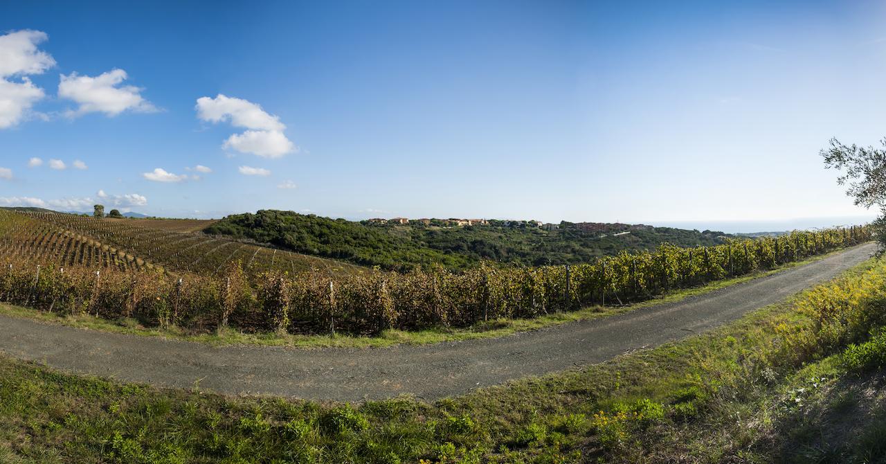 Casale Del Mare Βίλα Castiglioncello Εξωτερικό φωτογραφία